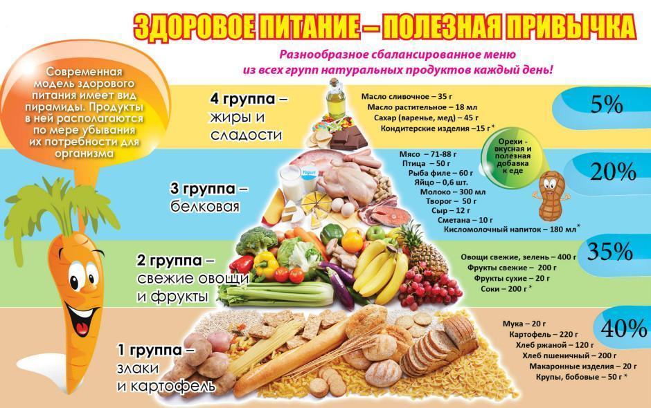 Здоровое питание – один из факторов гармоничного развития школьника