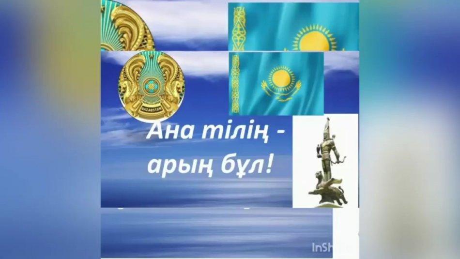 Ана тілің – арың бұл!