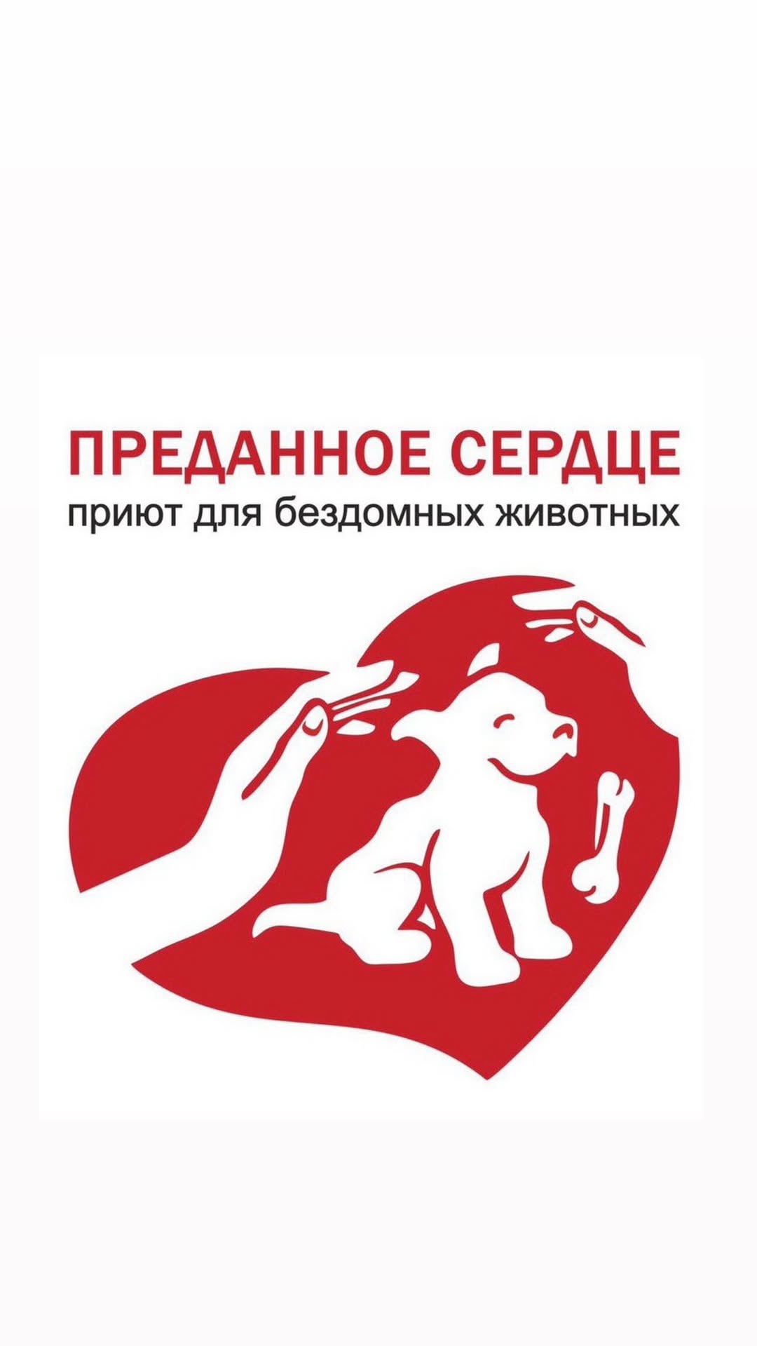 Акциямызға белсене қатысқан барлық жандарға зор алғыс айтқымыз келеді 💚