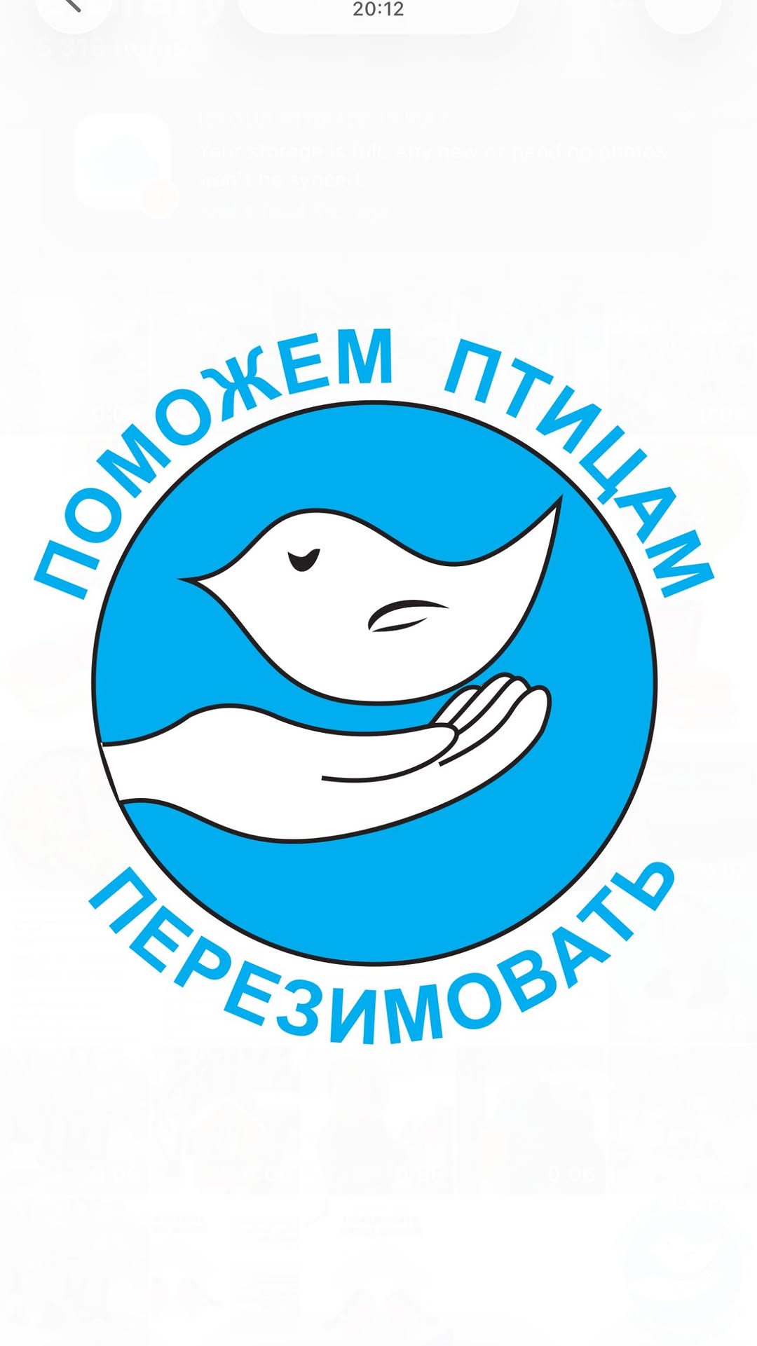🐦 «Қанатты достарды қоректендір» акциясы