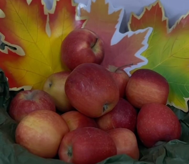 🍁 ИҚК-тағы күзгі квест! 🍂